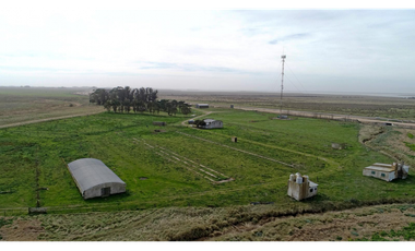 Venta Campo 6.7 ha sobre ruta 11