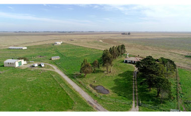Venta Campo 6.7 ha sobre ruta 11