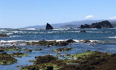 Parcela en Venta en Los Muermos