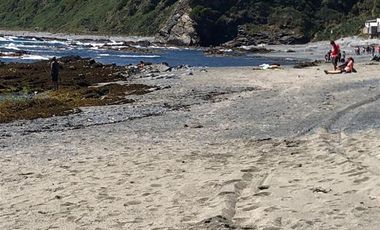 Parcela en Venta en Los Muermos