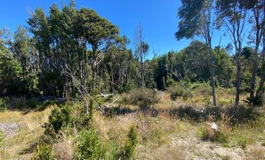 Parcela en Venta en Los Muermos