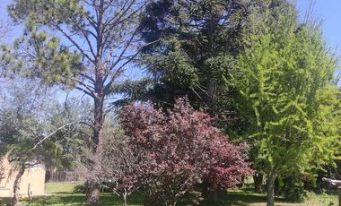 Casa quinta de 8 ambientes con pileta y 4 hectareas de parque