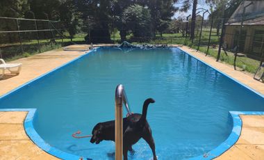 Casa quinta de 8 ambientes con pileta y 4 hectareas de parque