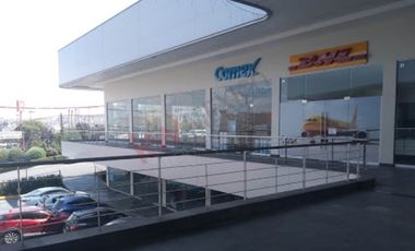 Renta de Local Comercial en Plaza Rotterdam Perinorte – Frente a Galerías Perinorte