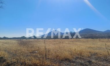 TERRENO INDUSTRIAL EJIDO MONTENEGRO - (3)