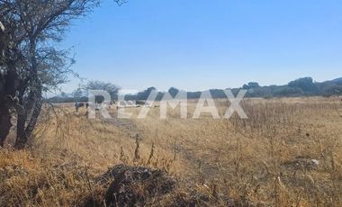 TERRENO INDUSTRIAL EJIDO MONTENEGRO - (3)