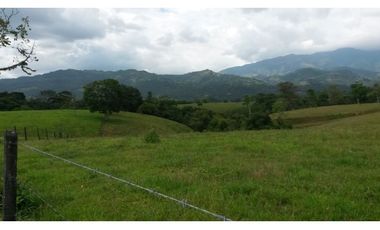 FINCA EN RESTREPO META