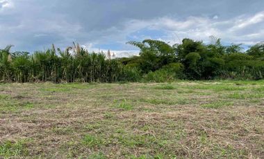 LOTE EN  VENTA VIA LA ROMELIA EL POLLO/DOSQUEBRADAS