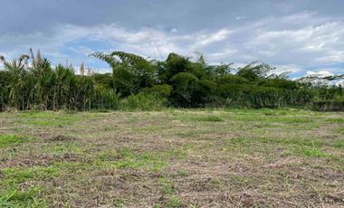 LOTE EN  VENTA VIA LA ROMELIA EL POLLO/DOSQUEBRADAS