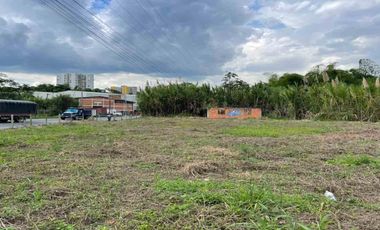 LOTE EN  VENTA VIA LA ROMELIA EL POLLO/DOSQUEBRADAS