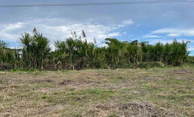 LOTE EN  VENTA VIA LA ROMELIA EL POLLO/DOSQUEBRADAS