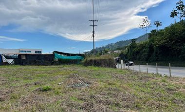 LOTE EN  VENTA VIA LA ROMELIA EL POLLO/DOSQUEBRADAS