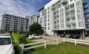 Newly renovated condo