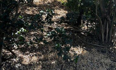 Parcela en Venta en Fundo Santa Rosa de Bucalemu