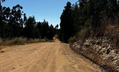 Parcela en Venta en Fundo Santa Rosa de Bucalemu