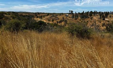 Parcela en Venta en Fundo Santa Rosa de Bucalemu