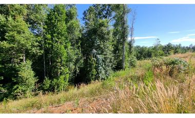 Parcela en exclusivo condomino Alto Rio Valdivia