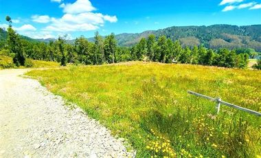 Parcela en exclusivo condomino Alto Rio Valdivia