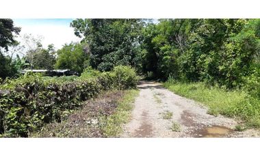 VENDO LOTE DE 6000M2 EN POTRERILLOS