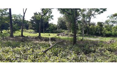VENDO LOTE DE 6000M2 EN POTRERILLOS