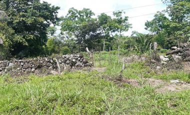 VENDO LOTE DE 6000M2 EN POTRERILLOS