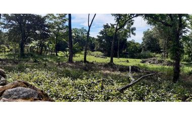 VENDO LOTE DE 6000M2 EN POTRERILLOS