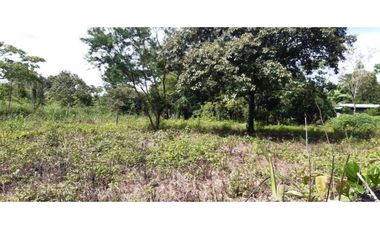VENDO LOTE DE 6000M2 EN POTRERILLOS