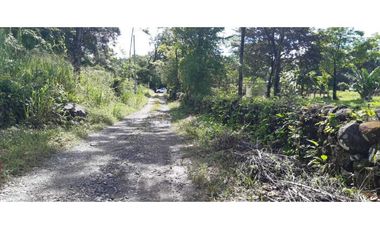 VENDO LOTE DE 6000M2 EN POTRERILLOS