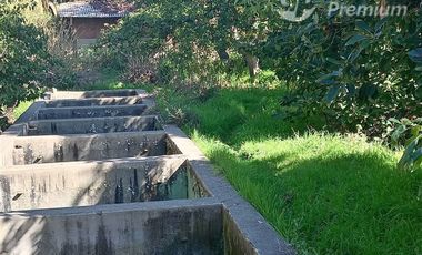 Agrícola en Venta en Entrada por Camino Internacional