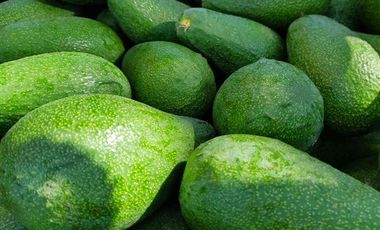 Agrícola en Venta en Entrada por Camino Internacional