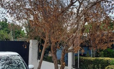 Agrícola en Venta en Entrada por Camino Internacional