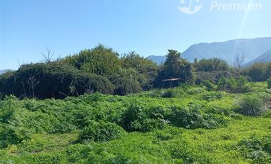 Agrícola en Venta en Entrada por Camino Internacional