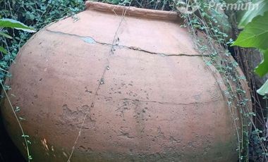 Agrícola en Venta en Entrada por Camino Internacional