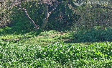 Agrícola en Venta en Entrada por Camino Internacional