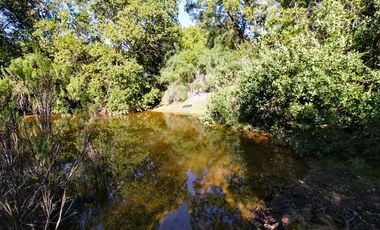 Parcela en Venta en COLLIGUAY