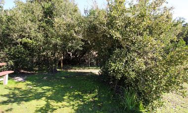 Parcela en Venta en COLLIGUAY