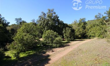 Parcela en Venta en COLLIGUAY