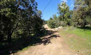 Parcela en Venta en COLLIGUAY