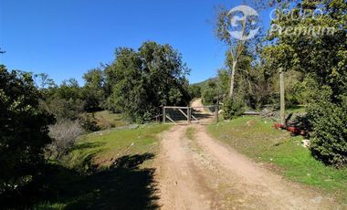 Parcela en Venta en COLLIGUAY