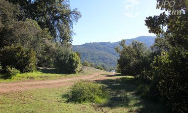 Parcela en Venta en COLLIGUAY