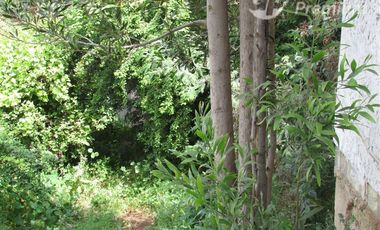 Terreno Construccion  en Venta en las violetas con parinacota
