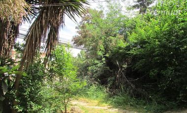 Terreno Construccion  en Venta en las violetas con parinacota