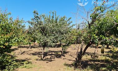 Parcela en Venta en camino colliguay con los quillayes