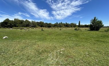 Agrícola en Venta en Camino a Santa Clara , Ruta Q-15