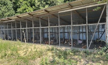 Agrícola en Venta en Camino a Santa Clara , Ruta Q-15