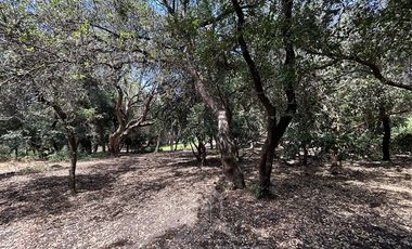 Agrícola en Venta en Camino a Santa Clara , Ruta Q-15