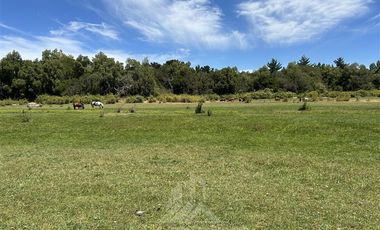 Agrícola en Venta en Camino a Santa Clara , Ruta Q-15