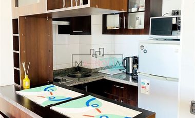 Departamento en Arriendo en SANTIAGO CENTRO AMOBLADO