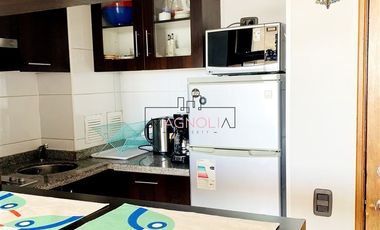 Departamento en Arriendo en SANTIAGO CENTRO AMOBLADO