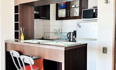 Departamento en Arriendo en SANTIAGO CENTRO AMOBLADO